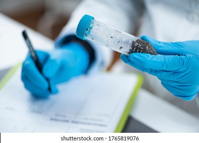 Sample Preparation For Pesticide Testing In Laboratory.  Marking Samples For Organic Certification Procedure 