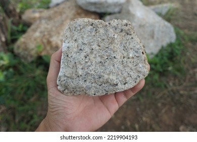 Sample Raw Specimen Of Granite Intrusive Igneous Rock Stone On Geologist's Hand. 