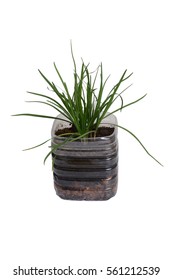 Sample of reduce concept by using plastic bottle for planting on white background.