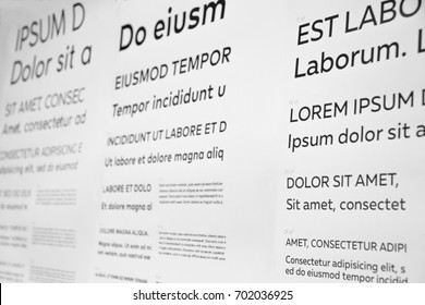 Sample text for web design wireframe