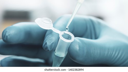 sample tubes in female hands and pipette.