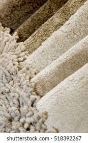 Samples of color of a carpet 