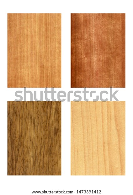 Samples Veneer Wood Isolated On White Stock Photo Edit Now