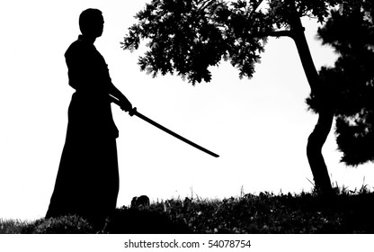 Samurai silhouette in front of tree