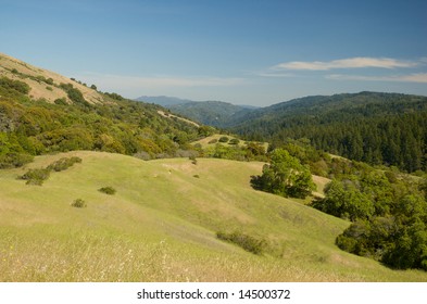 San Andreas Fault Hill Country California