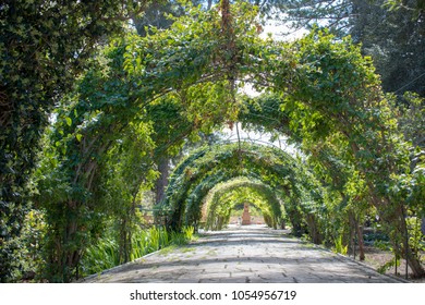 San Anton Garden Malta