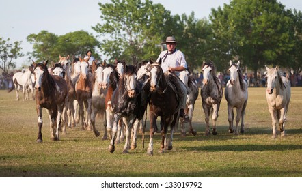 1,847 Argentina Cowboy Images, Stock Photos & Vectors 