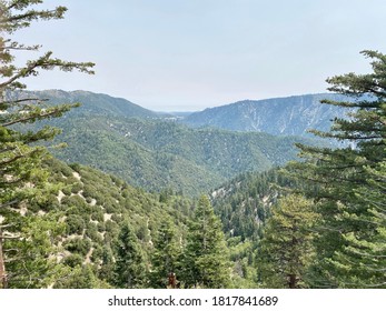 San Bernardino National Forest In Angelus Oaks