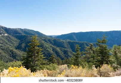 San Bernardino National Forest California USA