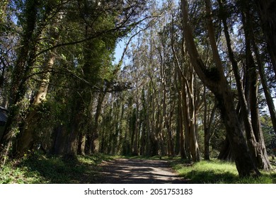 San Bruno Mountain  National Park 