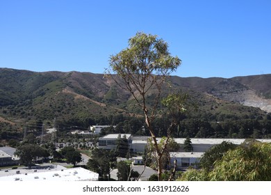 San Bruno Mountain State Park In Brisbane, CA