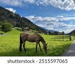 San Candido landscape going over Leinz