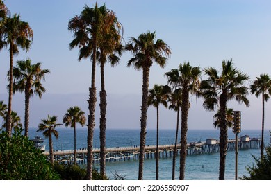 San Clemente Beach Palm Tree Pier