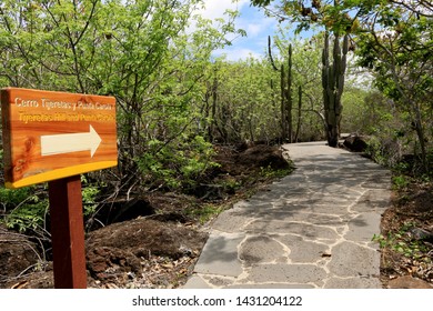 San Cristobal, Galapagos, Ecuador; January 8 2019:  Wooden Sign Indicating The Road To Cerro Tijeretas And Punta Carola On The Island Of San Cristóbal.