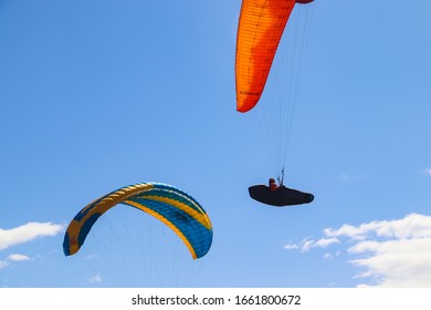 San Diego CA 3-02-2020  Paragliding At Torrey Pines Gliderport