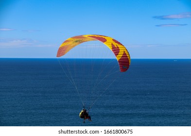 San Diego CA 3-02-2020  Paragliding At Torrey Pines Gliderport