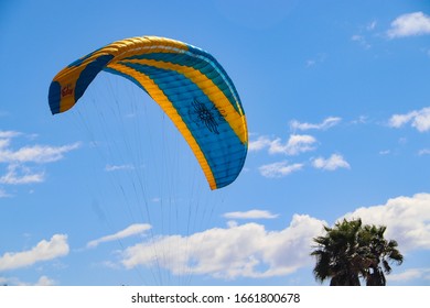 San Diego CA 3-02-2020  Paragliding At Torrey Pines Gliderport