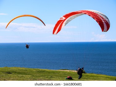 San Diego CA 3-02-2020  Paragliding At Torrey Pines Gliderport