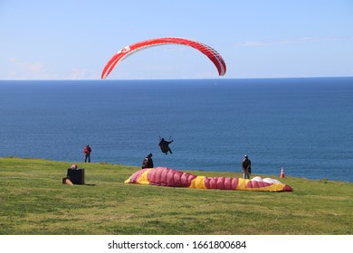 San Diego CA 3-02-2020  Paragliding At Torrey Pines Gliderport