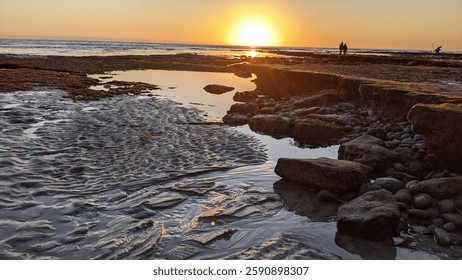 San Diego California north county Encinitas area coastline. Waves, surfers, sunset silhouettes, beaches, tide pools, palm trees, clouds and rock abstractions!