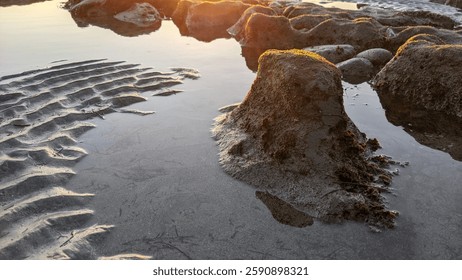 San Diego California north county Encinitas area coastline. Waves, surfers, sunset silhouettes, beaches, tide pools, palm trees, clouds and rock abstractions!
