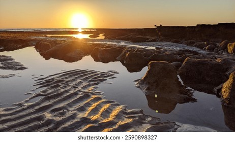 San Diego California north county Encinitas area coastline. Waves, surfers, sunset silhouettes, beaches, tide pools, palm trees, clouds and rock abstractions!