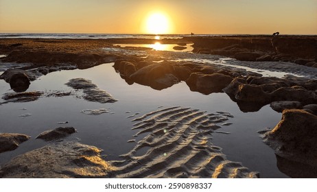 San Diego California north county Encinitas area coastline. Waves, surfers, sunset silhouettes, beaches, tide pools, palm trees, clouds and rock abstractions!