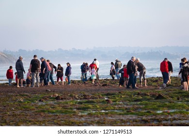 San Diego, California / USA 12-22-2018
Tourists and locals alike wonder the tide pools at Cardiff state beach looking to catch a glimpse of sea creatures like octopus and crabs caught in the low tide.