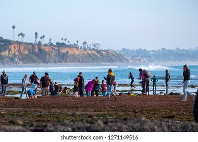 San Diego, California / USA 12-22-2018
Tourists and locals alike wonder the tide pools at Cardiff state beach looking to catch a glimpse of sea creatures like octopus and crabs caught in the low tide.
