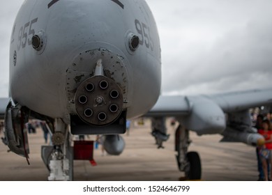 Gau 8 High Res Stock Images Shutterstock