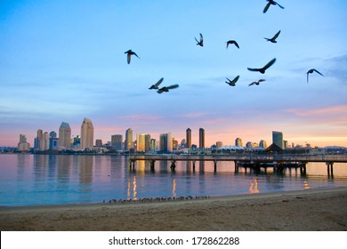 San Diego City Scape At Dawn With Seagulls Flying In The Foreground