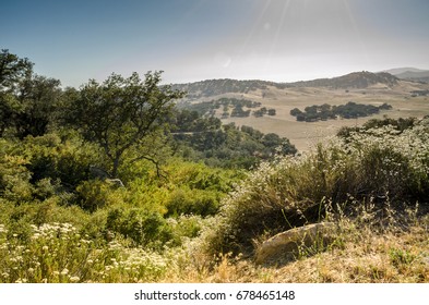 San Diego County; Nature, Landscape