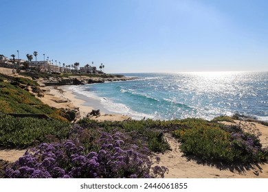 San Diego, La jolla, monument hill, windandsea beach, beach sunset, California sunrise, coastal landscape, southern California, CA - Powered by Shutterstock