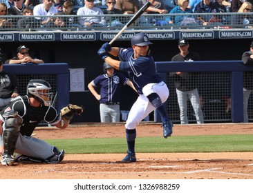 The San Diego Padres At Peoria Sports Complex In Peoria, Arizona/USA February 24,2019.