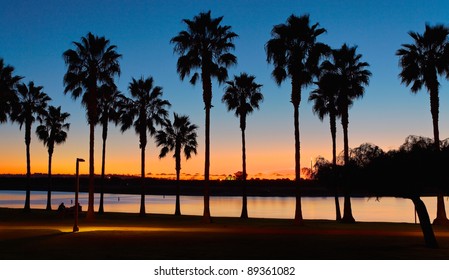 San Diego Sunset And Palm Trees At Mission Bay San Diego, California