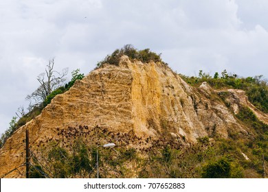 San Fernando Hill, Trinidad