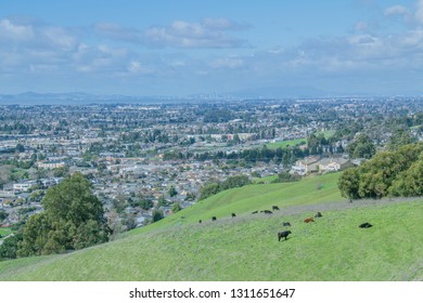 San Francisco Bay Area from East Bay Area