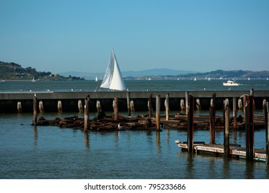 San Francisco Bay Is A Shallow Estuary In The U.S. State Of California