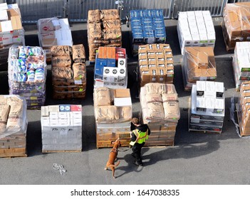 San Francisco, CA - January, 2020:  A Dog Checks All The Produce Before Being Loaded Onto A Cruise Ship For Drugs And Other Restricted Items.