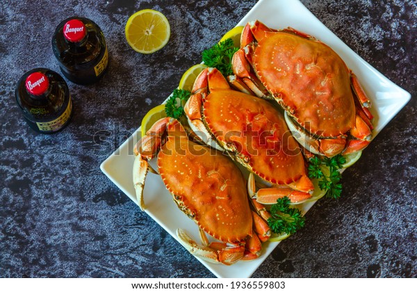 San Francisco, CA, USA -\
October 17, 2020: Several bottles of Coors beer on the table. There\
are also three boiled crabs with lemon and parsley on a white\
plate.