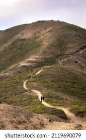 San Francisco, California - July 7, 2022 : Two people hiking up a long winding dirt mountain trail. Slacker Hill, San Francisco California
