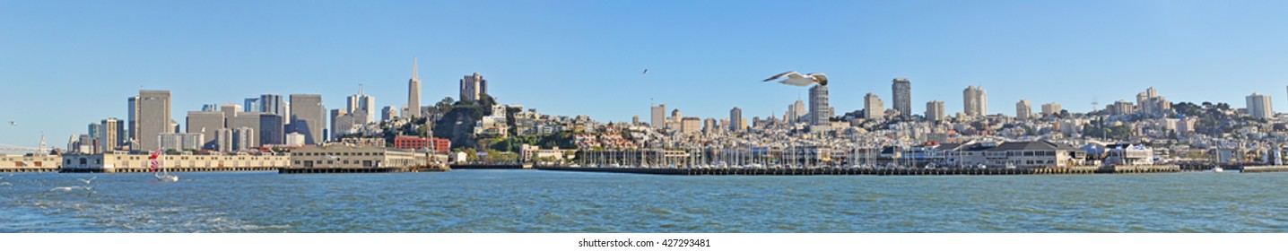 San Francisco, California, United States Of America, Usa, 7 June 2010: Aerial Skyline Of The City With A Seagull Flying Over The San Francisco Bay,  A Shallow Estuary Known As The Bay Area