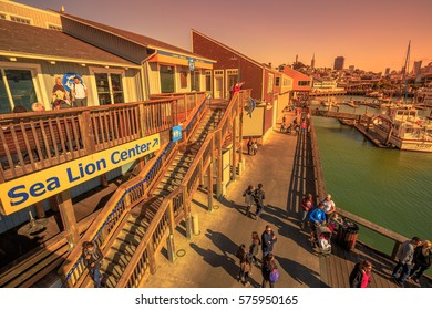 San Francisco, California, United States - August 14, 2016: Aerial view from Sea Lion Center of people and boats docked at Pier 39 Marina at sunset, a popular tourist attraction in San Francisco.