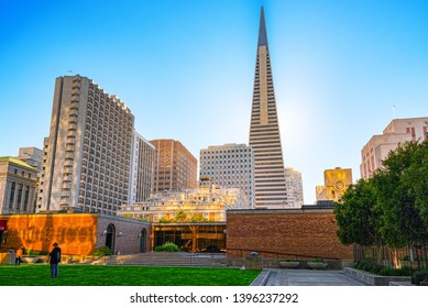 San Francisco, California, USA - September 08, 2018: View of the city center,tower skyscraper TransAmerica Pyramid, downtown of San Francisco.