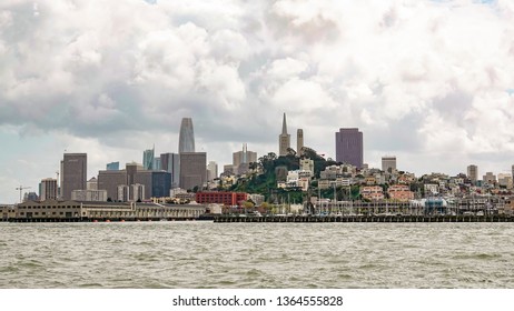 San Francisco City Scape