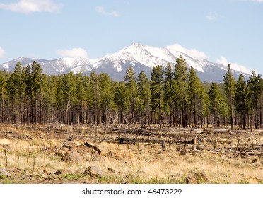 San Francisco Peaks