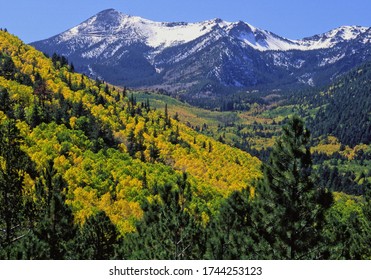 San Francisco Peaks, Coconino National Forest, Arizona