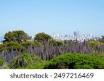 The San Francisco skyline as photographed from the base of the Golden Gate Bridge in the Presidio on April 22, 2024. 