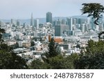 San Francisco Streets and Neighborhoods