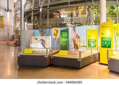 SAN FRANCISCO, USA - OCT 5, 2015: Exhibits in the California Academy of Sciences, a natural history museum in San Francisco, California. It was established in 1853